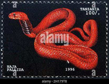 TANZANIA - CIRCA 1996: Un francobollo stampato in Tanzania mostra Red spitting cobra, naja pallida, serpente, circa 1996 Foto Stock