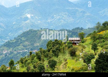 Una piccola casa arroccata su una collina in Nepal con le montagne sullo sfondo. Foto Stock