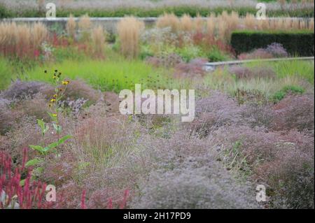 BOTTROP, GERMANIA - 21 AGOSTO 2021: Piantare in stile perenne prato progettato da Piet Oudolf nel Parco pubblico di Berna Foto Stock