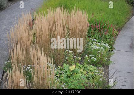 BOTTROP, GERMANIA - 21 AGOSTO 2021: Piantare in stile perenne prato progettato da Piet Oudolf nel Parco pubblico di Berna Foto Stock