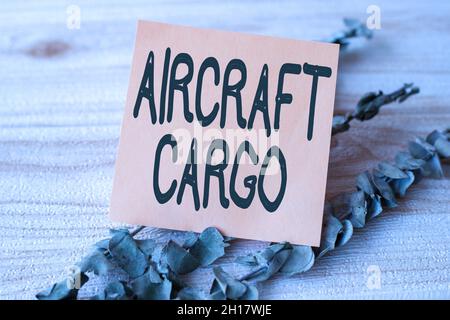 Testo che mostra ispirazione aereo Cargo. Business Overview vettore merci AirMail trasporto merci attraverso l'aereo pezzo di bianco quadrato Nota Foto Stock