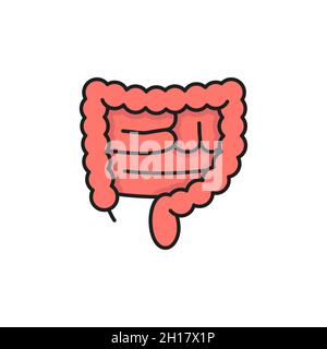 Icona della linea di colore isolata dell'intestino crasso umano. Anatomia vettoriale, assistenza sanitaria, concetto di medicina, batteri benefici attivi, colon sano. tr. Digestivo Illustrazione Vettoriale