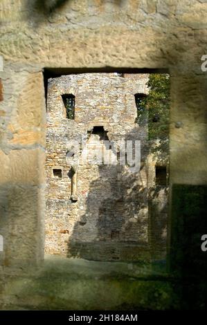 Rovine del monastero di Disibodenberg, nei pressi di Bad Kreuznach, Renania-Palatinato, Germania, Europa, Hildegard von Bingen visse qui dal 1112 al 1147 Foto Stock