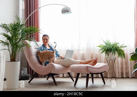 Bella giovane donna Petting gatto mentre si lavora con laptopat casa in comoda sedia. La donna freelance lavora in remoto da casa utilizzando il notebook Cosy Foto Stock