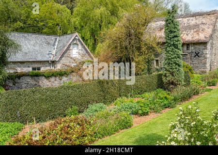 Terrazza inferiore al Fortescue Walled Garden, il Garden House, Yelverton, Devon, Inghilterra Foto Stock