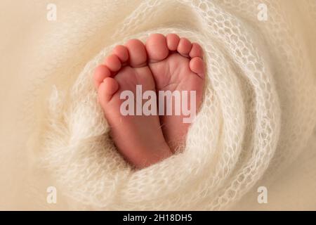 I piedi del neonato sono avvolti in una coperta bianca a maglia. Le dita del neonato si avvicinano. Foto Stock