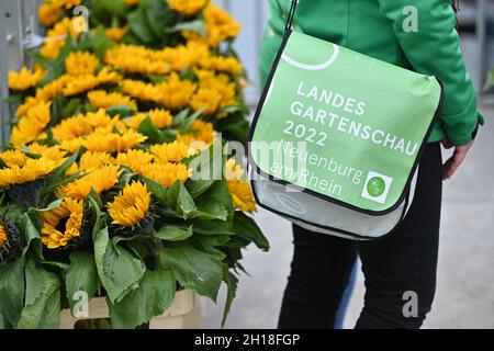 17 ottobre 2021, Baden-Wuerttemberg, Überlingen am Bodensee: Un dipendente dello state Horticultural Show di Neuenburg am Rhein si trova con la sua borsa di Stato Horticultural Show accanto ai girasoli durante la cerimonia di chiusura. L'anno prossimo, nel 2022, Neuenburg am Rhein ospiterà lo state Horticultural Show. Foto: Felix Kästle/dpa Foto Stock