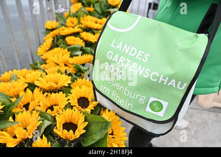 17 ottobre 2021, Baden-Wuerttemberg, Überlingen am Bodensee: Un dipendente dello state Horticultural Show di Neuenburg am Rhein si trova con la sua borsa di Stato Horticultural Show accanto ai girasoli durante la cerimonia di chiusura. L'anno prossimo, nel 2022, Neuenburg am Rhein ospiterà lo state Horticultural Show. Foto: Felix Kästle/dpa Foto Stock