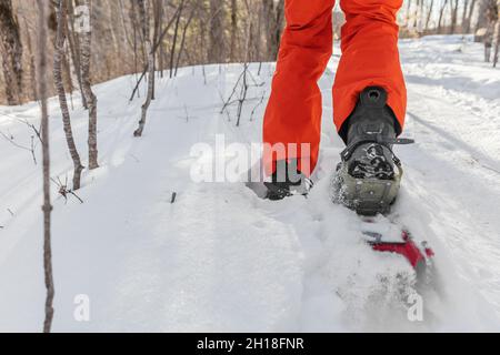 Racchette da neve sport invernali escursionista uomo camminare con racchette da neve. Primo piano di gambe che corrono nel parco della foresta di neve bianca con scarponi da trekking con racchette da neve Foto Stock