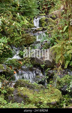 Piccola cascata tra le rocce Foto Stock