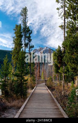 Il sentiero conduce attraverso i boschi nella natura selvaggia dell'Idaho Foto Stock