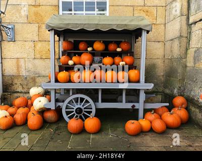 Un vecchio mercato agricolo Barrow stalla vendita di varietà di zucche e squash invernale Foto Stock