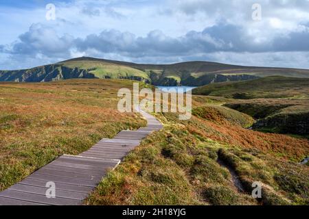 Sentiero nella Riserva Naturale Nazionale di Hermaness, Unst, Shetland, Scozia, Regno Unito Foto Stock