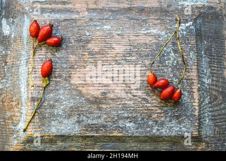 Tre rami secchi con fianchi di rosa sulla vecchia superficie di legno con crepe e resti di vernice blu. Autunno ancora vita. Vista dall'alto. Messa a fuoco selettiva. Foto Stock