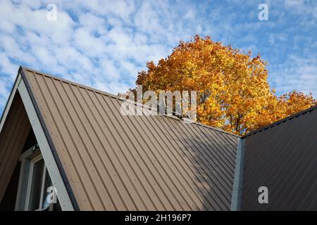Casa sul tetto in metallo marrone sotto l'albero dell'autmn contro il cielo blu Foto Stock