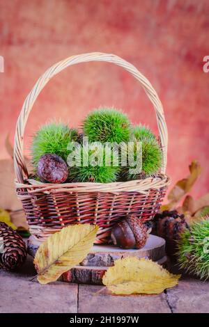 Decorazioni natalizie autunnali da castagne, ghiande, bacche e foglie. Foto Stock