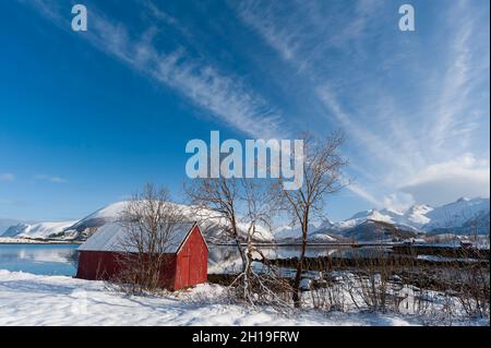 Un granaio o capannone rosso sulla riva del mare. Montagne innevate in lontananza. Vagan, Isole Lofoten, Nordland, Norvegia. Foto Stock