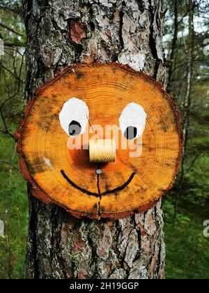 Un closeup verticale ha sparato una faccia sorridente fatta da un tronco di albero tagliato attaccato ad un albero Foto Stock