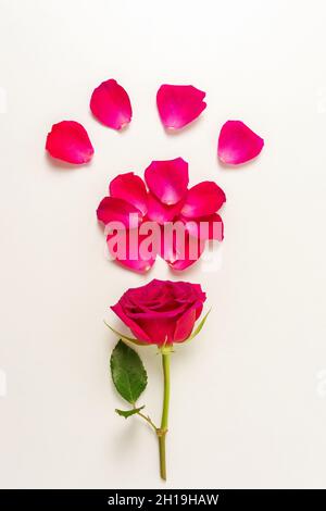 Struttura primaverile con fiore e cuore in nastro rosa su sfondo viola. Concetto  di primavera Foto stock - Alamy