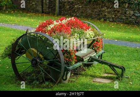 Un carro di legno d'epoca convertito a casa una fioritura estiva di bellissimi fiori a Beddgelert, Snowdonia Galles UK Foto Stock