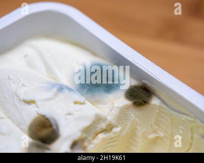 funghi, cibo rovinato su formaggio bianco, pericolo per la salute, foto macro, molti dettagli Foto Stock