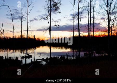 Lago Tawayik al tramonto, guardando attraverso gli alberi, vedere i colori su riflessione acqua Foto Stock