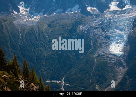 Renne sul sentiero Kungsleden tra Hemavan e Viterskalet, agosto 2021 Foto Stock