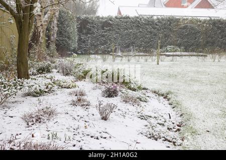 Neve che cade su un grande giardino britannico in inverno, con prato e aiuole di fiori ricoperti di neve Foto Stock