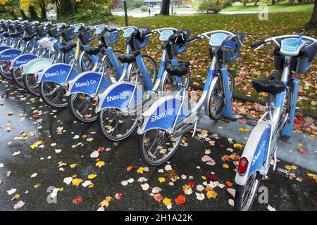 Servizio di condivisione bici di corsa parcheggiato Bicycle Row da Shaw Communications Shaw Go e Mobi a Kitsilano, Vancouver BC Canada Foto Stock