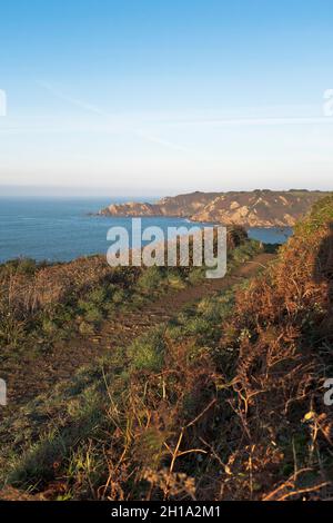 dh punto Icart ST MARTIN GUERNSEY inizio mattina sentiero Saint Martins costa sud scogliere sentiero a piedi sentiero Foto Stock