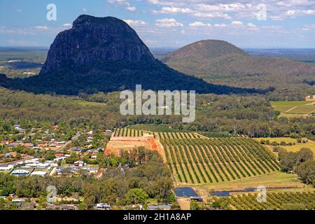 Ammira i campi di macadamia fino al monte Tibrogargan e al monte Beerburrum Foto Stock