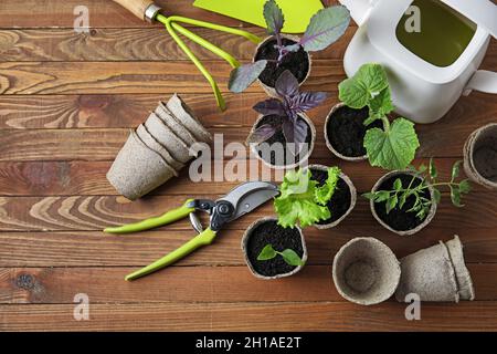 Piante piantine in pentole di torba e attrezzi di giardinaggio su sfondo di legno Foto Stock