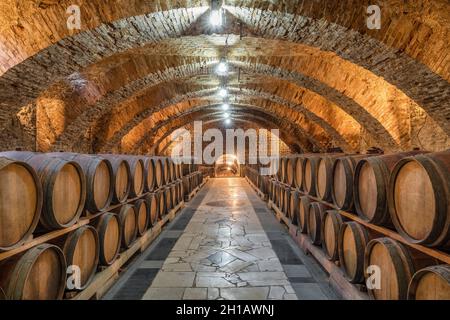 Vecchie botti di legno con vino nelle antiche cantine medievali Foto Stock