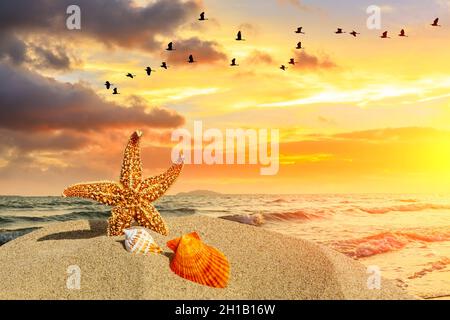 Stelle marine e conchiglie su una spiaggia di sabbia, sfondo vacanze estive. Foto Stock