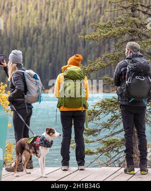 Gruppo di backpackers con escursioni con cani in alta montagna presso il lago nel Parco Nazionale di Banff. Foto di viaggio, vista sulla strada, messa a fuoco selettiva, concept photo t Foto Stock