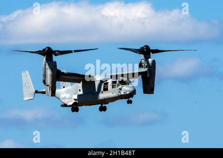 Sanford, Stati Uniti. 17 ottobre 2021. Un aeromobile MV-22 Osprey esegue manovre aeree durante l'Orlando Air and Space Show presso l'aeroporto internazionale Orlando Sanford di Sanford, Florida, il 17 ottobre 2021. (Foto di Ronen Tivony/Sipa USA) *** Please use Credit from Credit Field *** Credit: Sipa USA/Alamy Live News Foto Stock