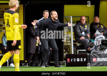 Allenatore Bo SVENSSON (MZ) stordito, gesto, gesto, calcio 1 ° Bundesliga, 8 ° giorno di incontro, Borussia Dortmund (DO) - FSV FSV FSV Mainz 05 (MZ) 3: 1, il 16 ottobre 2021 a Dortmund/Germania. Le normative #DFL vietano l'uso di fotografie come sequenze di immagini e/o quasi-video # Â Foto Stock