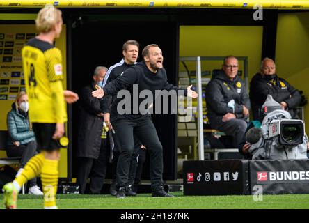 Allenatore Bo SVENSSON (MZ) stordito, gesto, gesto, calcio 1 ° Bundesliga, 8 ° giorno di incontro, Borussia Dortmund (DO) - FSV FSV FSV Mainz 05 (MZ) 3: 1, il 16 ottobre 2021 a Dortmund/Germania. Le normative #DFL vietano l'uso di fotografie come sequenze di immagini e/o quasi-video # Â Foto Stock