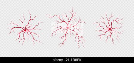 Impostare vene e arterie umane. Vasi sanguigni e capillari a forma di ragno a ramificazione rossa. Illustrazione vettoriale isolata su sfondo trasparente Illustrazione Vettoriale