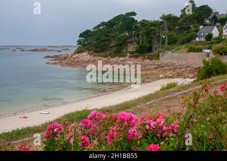 Spiaggia di Pors Termen, Trebeurden, Costa di granito Rosa (Cote de Granit Rose), Cotes d'Armor (22), Bretagna, Francia Foto Stock