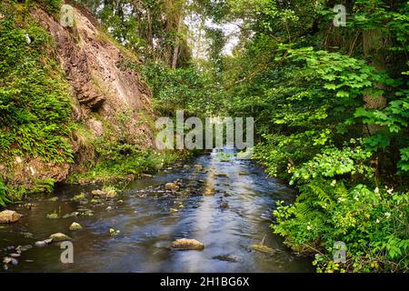 ruscelli svedesi, fiumi con piccole e grandi cascate nella natura incontaminata. ricreazione, avventura e un sacco di relax in una natura incomparabile. Foto Stock