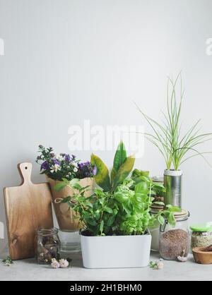 Cucina moderna con vasetti di vetro, tagliere in legno, erbe da cucina in vaso su sfondo bianco parete. Cucina senza rifiuti e plastica. Sostenibile Foto Stock