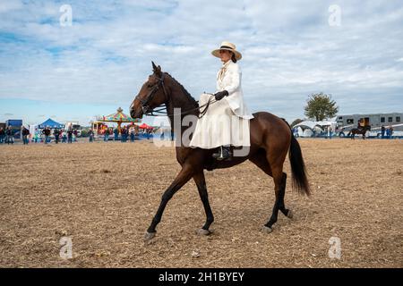 Mostra di sella laterale a cavallo in occasione di un evento a cavallo, Regno Unito Foto Stock