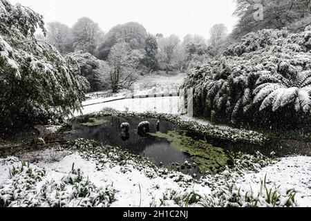 Giardino Trebah; neve; Cornovaglia; Regno Unito Foto Stock