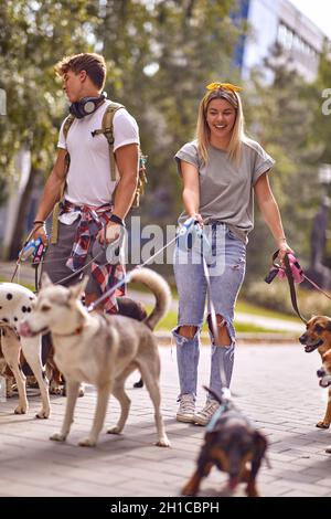 donna sorridente e uomini che camminano un gruppo di cani e si divertono all'aperto Foto Stock