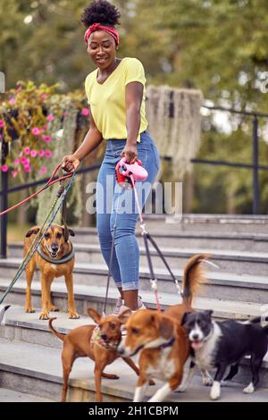 Cani sulla passeggiata con la ragazza professionale dog walker su strada Foto Stock