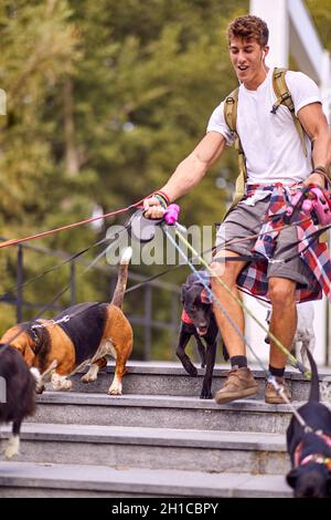 Un giovane camminatore maschio del cane sta camminando in una bella giornata sulle scale con mazzo di cani sotto il suo controllo. Animali domestici, escursionisti, servizio Foto Stock