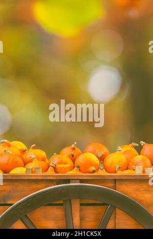 Antico carro in legno con zucche di fronte ad un freddo sfondo forestale in autunno Foto Stock