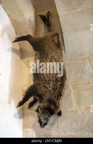 Castelnaud, Dordogne, Francia - 7 Settembre 2018: trofei di caccia appesa sul muro di cucina nel castello di Castelnaud, fortezza medioevale a Castelnaud-l Foto Stock