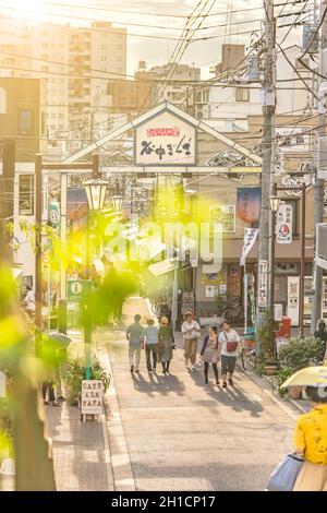 La famosa scalinata di Yuyakedandan che significa scalinata del tramonto a Nishi-Nippori a Tokyo. Il paesaggio che domina Yanaka Ginza dalla cima delle scale è Foto Stock